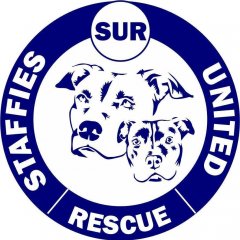 Staffies United Rescue